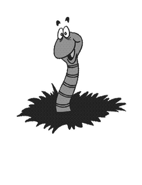 Worm 